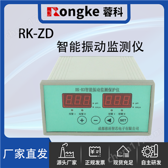 RK-ZD/RK振动检测表